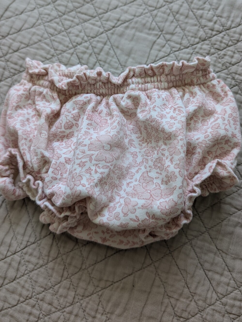 Quincy Mae Rose Floral Bloomers 12-18M
